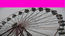 Click For Corporate Services 