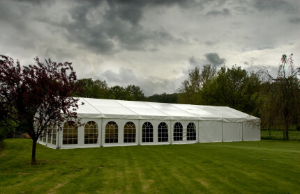 marquee image marquee image