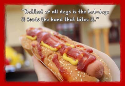 Gourmet Hot Dog Range